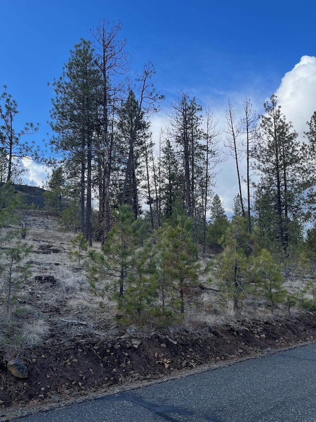 34645 N Partridge Ln, Davenport, WA 99122