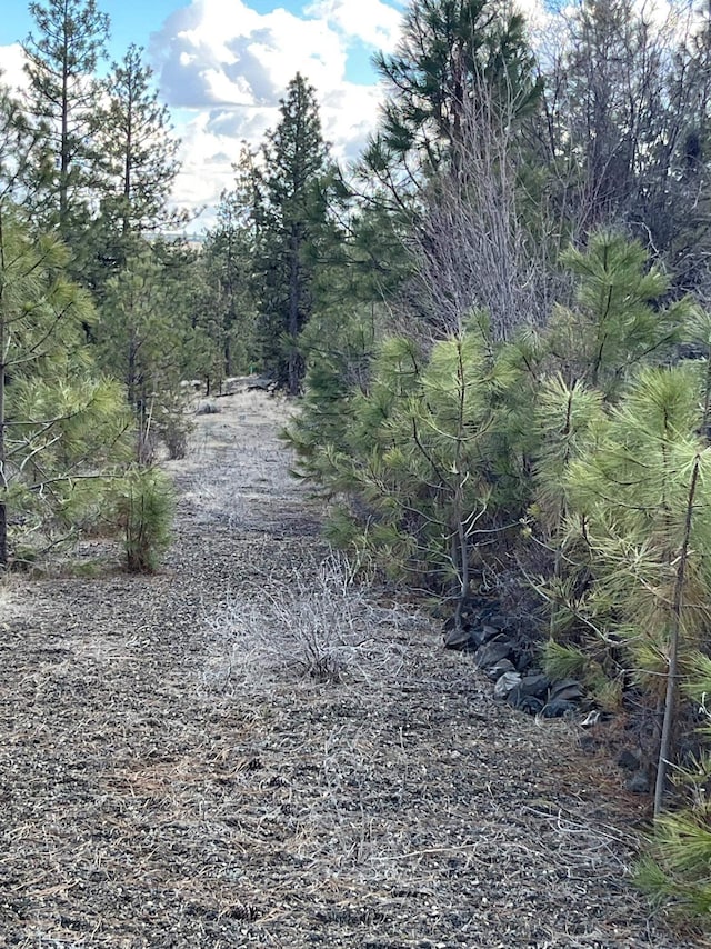 34645 N Partridge Ln, Davenport, WA 99122