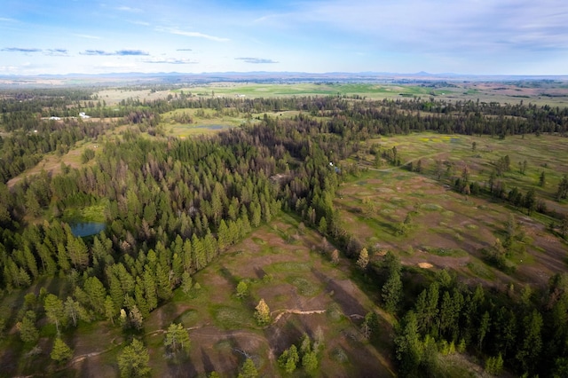000 Bootstrap Ln, Cheney, WA 99044