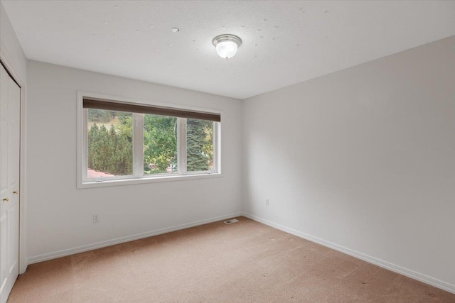 5915 S Dearborn Rd, Spokane, WA 99223 - photo 24