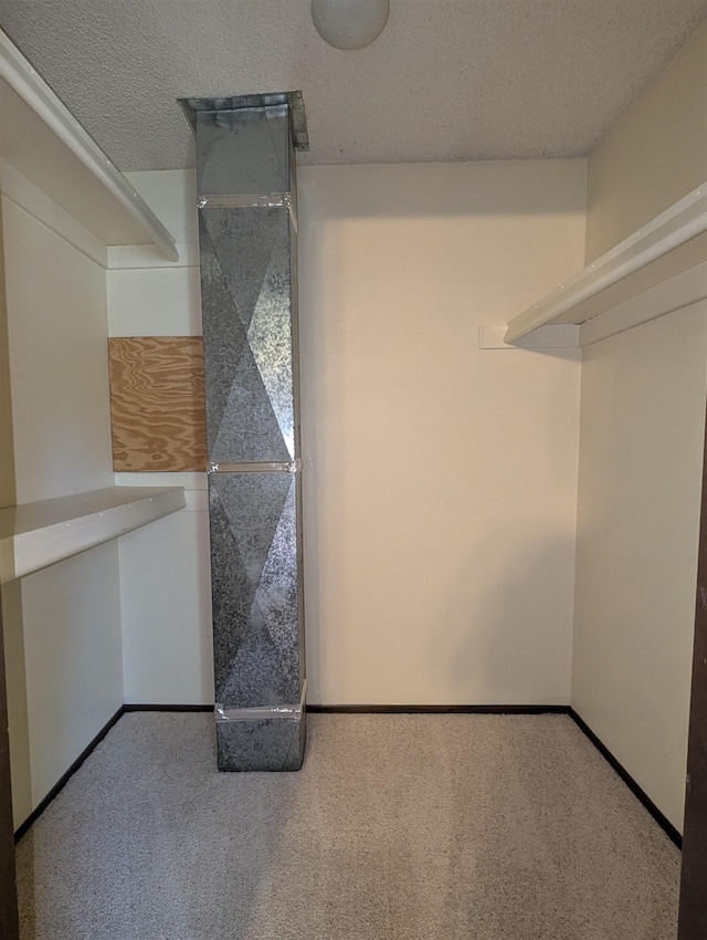 spacious closet featuring carpet floors