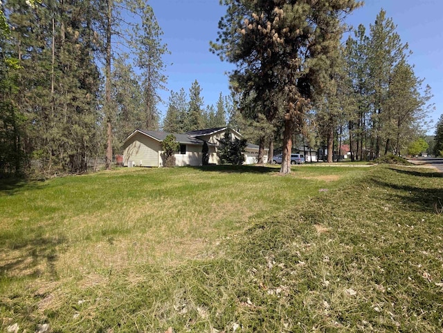 view of green lawn