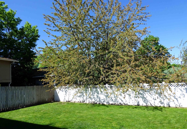 1222 S Pittsburg St Unit 1220, Spokane, WA 99223 - view of yard