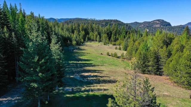 view of mountain background with a forest