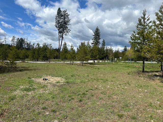 4571 Spring Valley Rd, Newport, WA 99156