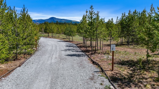 4571 Spring Valley Rd, Newport, WA 99156