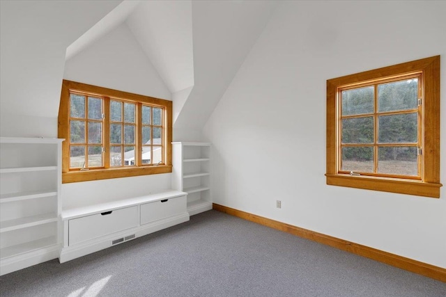 4408 E Spangle Creek Rd, Valleyford, WA 99036 - bonus room with carpet, baseboards, and lofted ceiling