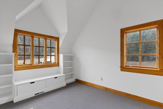 4408 E Spangle Creek Rd, Valleyford, WA 99036 - bonus room with vaulted ceiling, carpet flooring, and baseboards