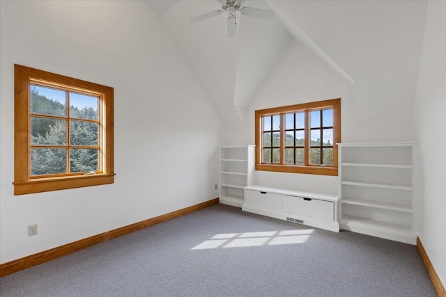 4408 E Spangle Creek Rd, Valleyford, WA 99036 - bonus room featuring plenty of natural light, carpet flooring, baseboards, and vaulted ceiling