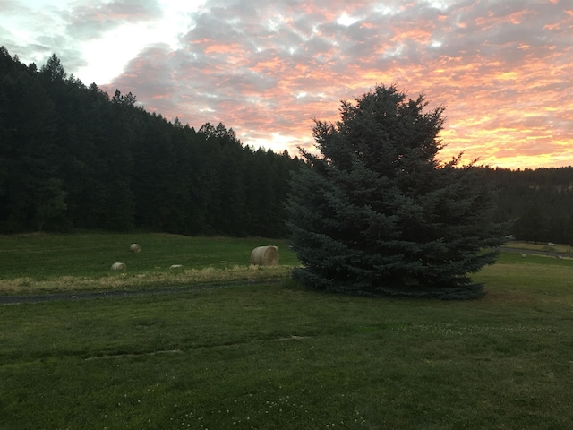 4408 E Spangle Creek Rd, Valleyford, WA 99036 - view of green lawn with a forest view
