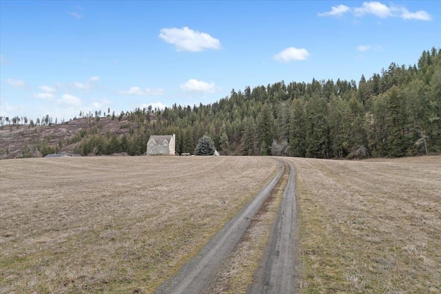 4408 E Spangle Creek Rd, Valleyford, WA 99036 - view of dirt / gravel road with a wooded view