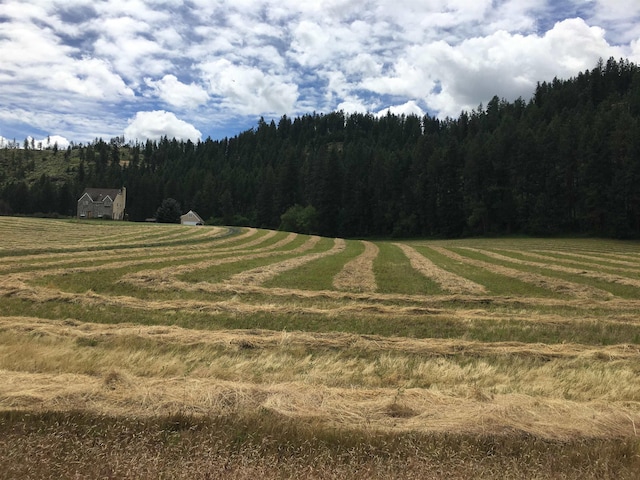 4408 E Spangle Creek Rd, Valleyford, WA 99036 - view of yard with a rural view and a view of trees