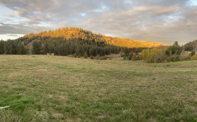 4408 E Spangle Creek Rd, Valleyford, WA 99036 - view of mountain backdrop featuring a forest