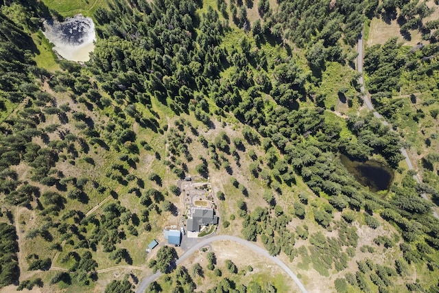 12715 E Deer Creek Rd, Chattaroy, WA 99003 - bird's eye view