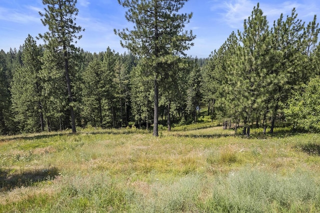 12715 E Deer Creek Rd, Chattaroy, WA 99003 - view of woods