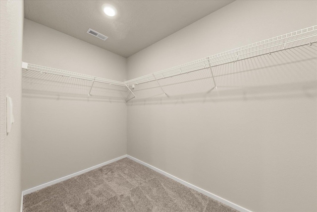 walk in closet with carpet