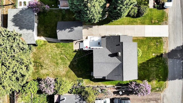 bird's eye view