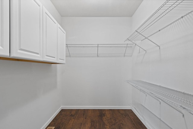 spacious closet with dark wood-style flooring