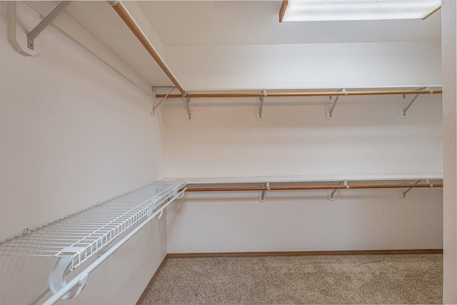 4414 Garden Spot Rd, Clayton, WA 99110 - spacious closet featuring carpet