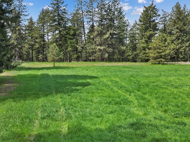 24811 N Orchard Bluff Rd, Chattaroy, WA 99003