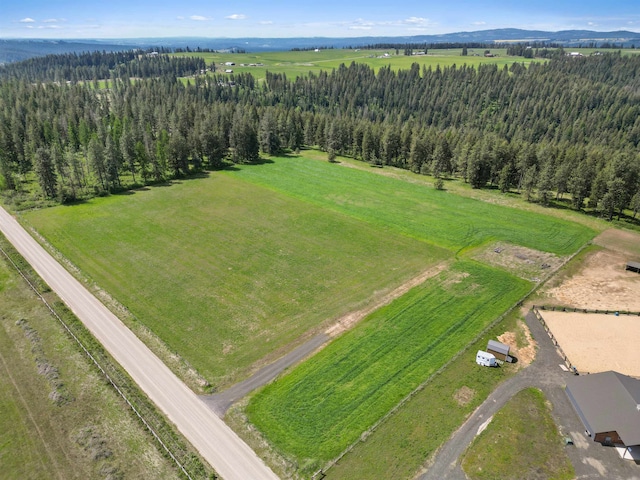 24811 N Orchard Bluff Rd, Chattaroy, WA 99003