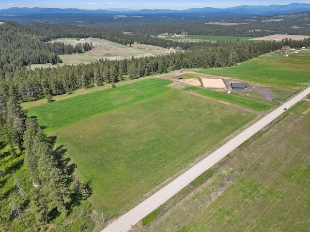 24811 N Orchard Bluff Rd, Chattaroy, WA 99003