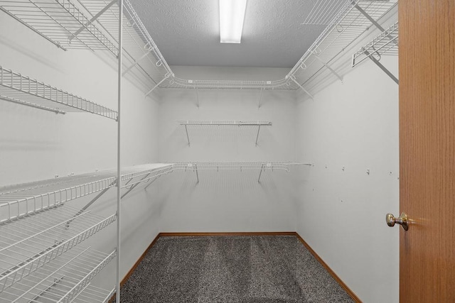 5612 N Vista Grande Dr, Otis Orchards, WA 99027 - walk in closet featuring carpet floors