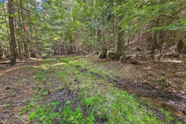 270 Lupine Ln, Newport, WA 99156