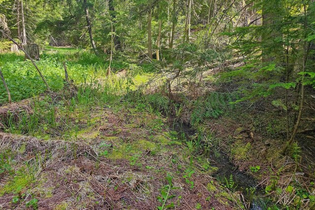 270 Lupine Ln, Newport, WA 99156