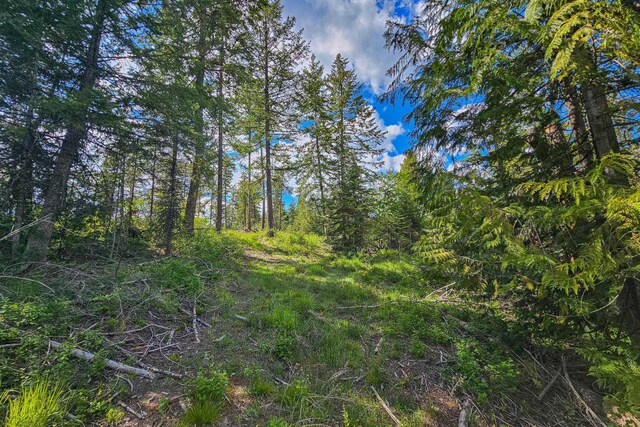 270 Lupine Ln, Newport, WA 99156