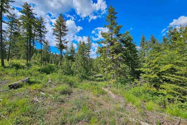 270 Lupine Ln, Newport, WA 99156