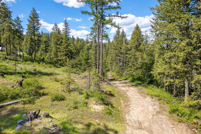 270 Lupine Ln, Newport, WA 99156