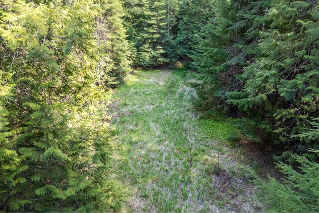 270 Lupine Ln, Newport, WA 99156