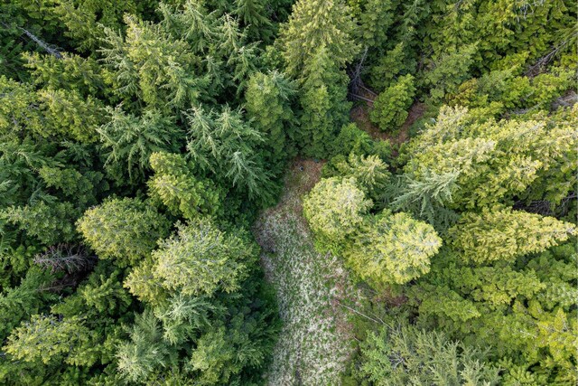 270 Lupine Ln, Newport, WA 99156