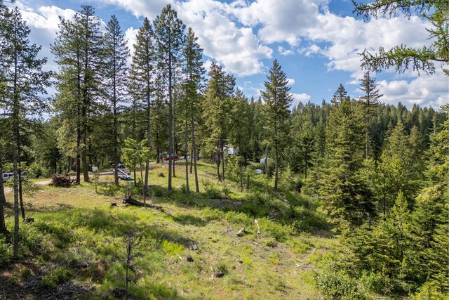 270 Lupine Ln, Newport, WA 99156