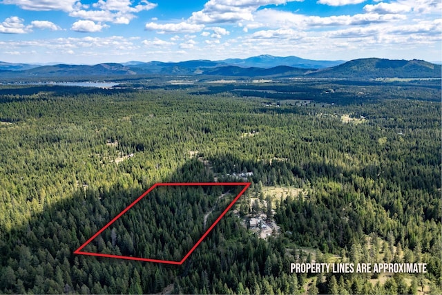 270 Lupine Ln, Newport, WA 99156