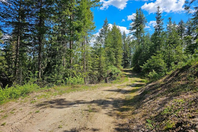 270 Lupine Ln, Newport, WA 99156