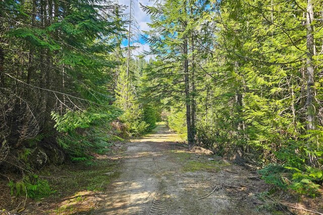 270 Lupine Ln, Newport, WA 99156