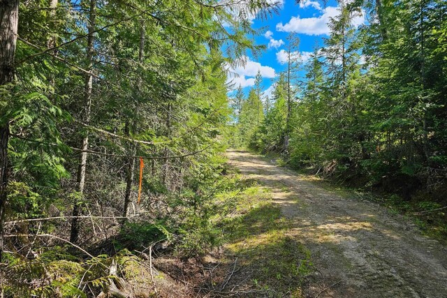 270 Lupine Ln, Newport, WA 99156