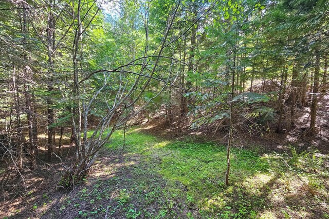270 Lupine Ln, Newport, WA 99156
