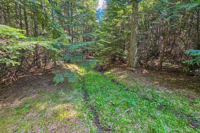 270 Lupine Ln, Newport, WA 99156