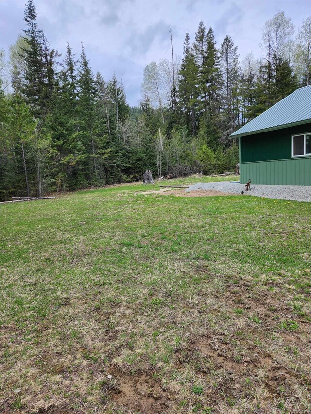 view of grassy yard