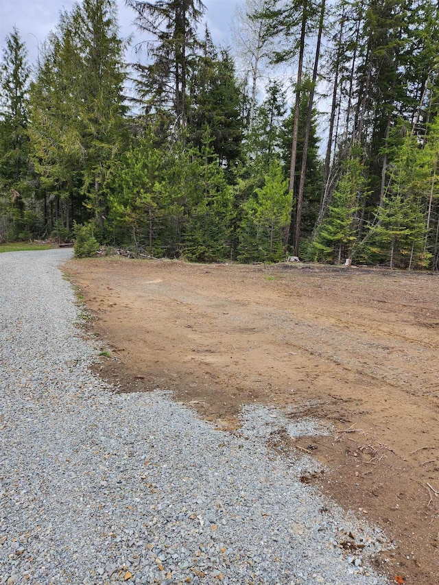 view of street featuring a forest view