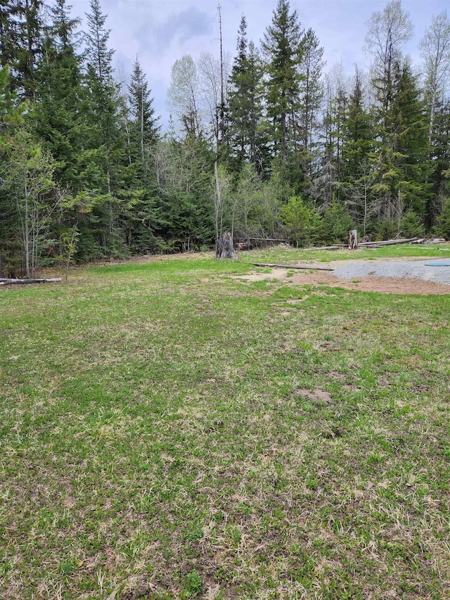 view of grassy yard
