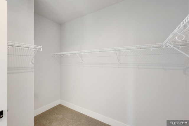 5741 S Sherri Lea Rd, Spokane, WA 99224 - walk in closet featuring carpet flooring