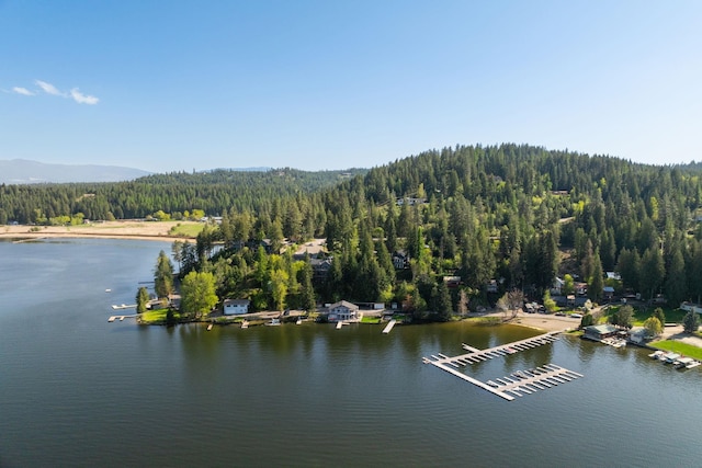 drone / aerial view of a forest and a water and mountain view