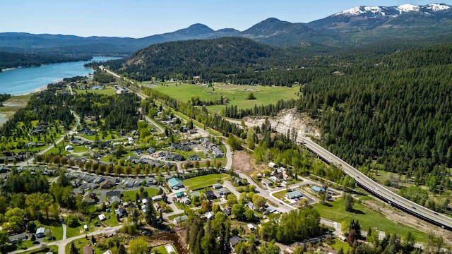 211 4th St, Dover, ID 83825 - view of property location with a forest and a water and mountain view