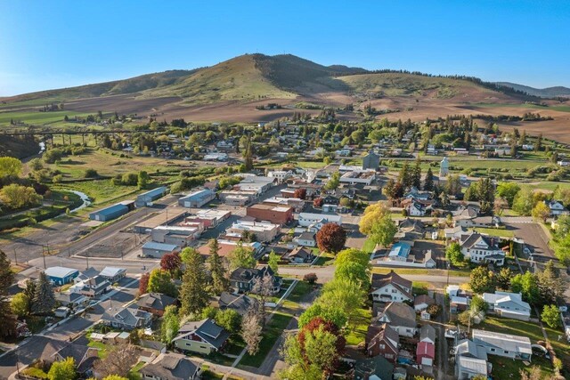 217 S Broadway St, Tekoa, WA 99033 - aerial view of property's location featuring nearby suburban area and a mountain backdrop
