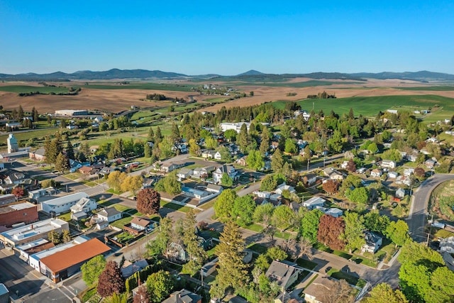 217 S Broadway St, Tekoa, WA 99033 - aerial overview of property's location with a mountain backdrop