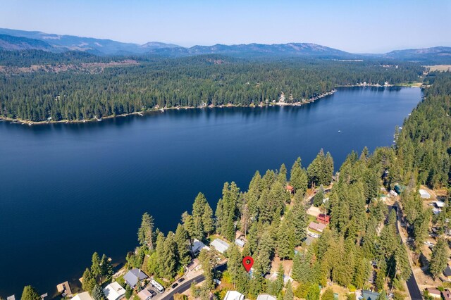 482 Sacheen Terrace Dr, Newport, WA 99156 - photo 22